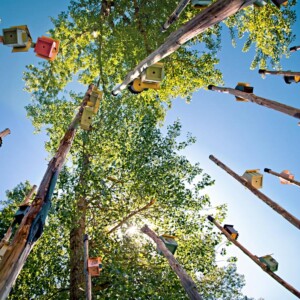 Camping Marecchia