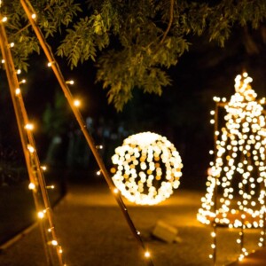 Camping Marecchia