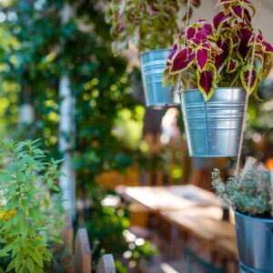 Ristorante da Quinto