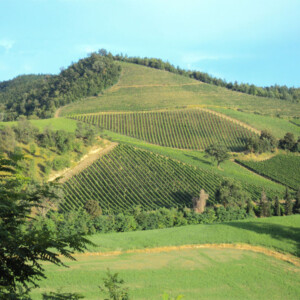 Azienda Agricola Valturio - Macerata Feltria