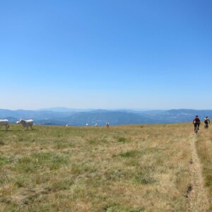 Monte Carpegna